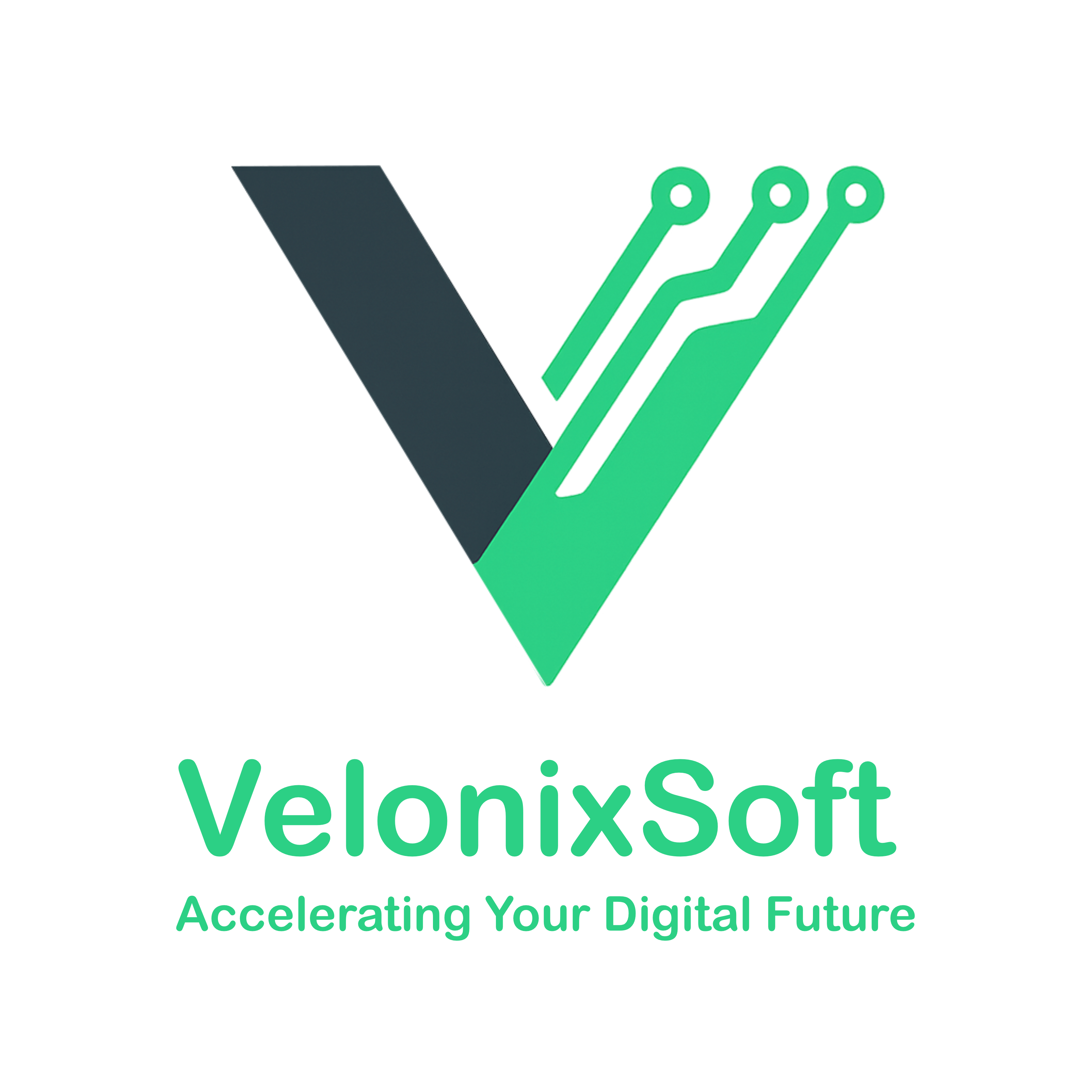 VelonixSoft